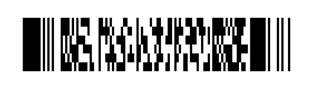 2d barcode produced via web service